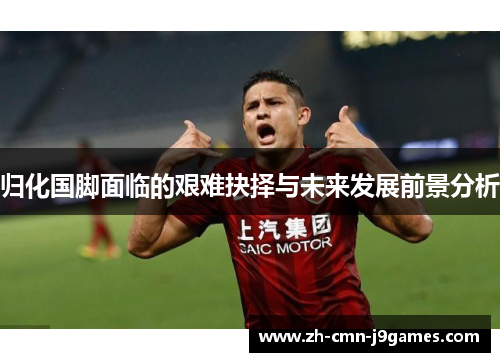 归化国脚面临的艰难抉择与未来发展前景分析