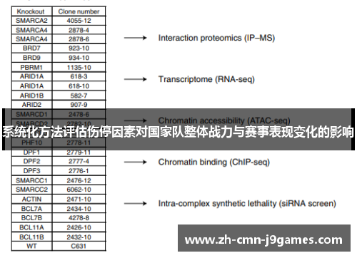 系统化方法评估伤停因素对国家队整体战力与赛事表现变化的影响